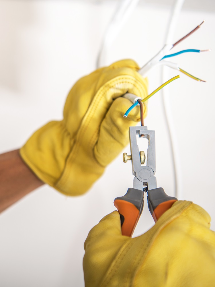 Electrical and plumbing